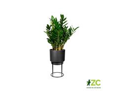 Obal B.For Studio Round - living black 22 cm