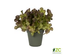 Květináč Green Basics - leaf green 15 cm