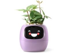 PLANTSIO Ivy fialový 