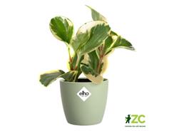 Obal Brussels Classic - sorbet green 9,5 cm