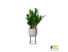 Obal B.For Studio Round - living concrete 22 cm