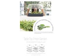 Prosperplast Sadbovač Prosperplast RESPANA TABLE GREENHOUSE antracit 39,1 cm 