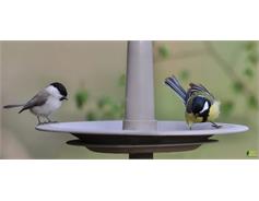 Pítko pro ptáky - FINCH taupe