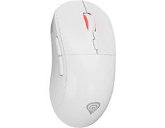 Genesis ZIRCON XIII bílá 