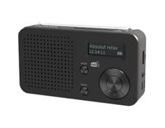 TELESTAR TOP100 přenosné DAB+/FM rádio 