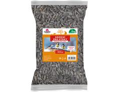 Slunečnice černá - 800 g Rosteto