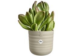 Obal Dune Round - mushroom beige 16 cm