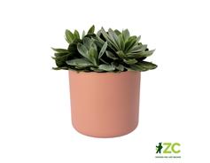 Obal B.For Soft Round - delicate pink 16 cm