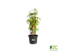 Obal Green Basics Tomato Pot - living black 33 cm