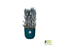 Obal Vibes Fold Mini - deep blue 9 cm