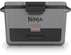 Ninja FB151EUGY Frost Vault 47l