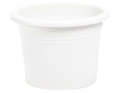 Obal Narcis - bílý 25 cm