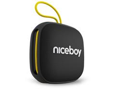 Niceboy RAZE Mini 4